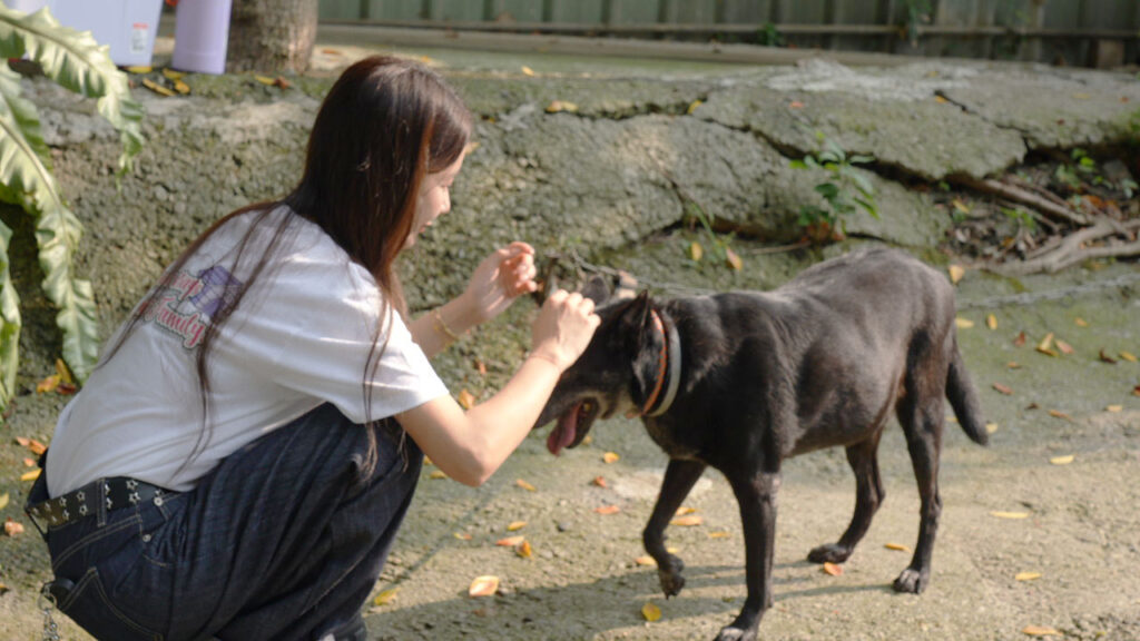 啦啦隊本土顏值天花板邀請粉絲做公益!發起禾羽浪浪探訪日 19 %E7%A6%BE%E7%BE%BD%E5%AE%89%E6%92%AB%E7%8B%97%E7%8B%97