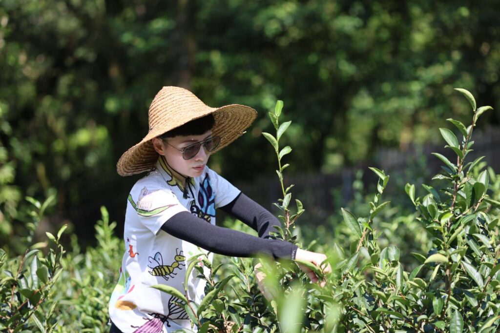 「新北影響力」再獲肯定 「金鵰獎」銀銅雙獎入袋 16 %E6%96%B0%E5%8C%97%E5%BD%B1%E9%9F%BF%E5%8A%9B%E4%B9%8B%E6%89%93%E9%80%A0%E6%B0%B8%E7%BA%8C%E8%8C%B6%E5%93%81%E7%89%8C%E7%9A%84%E6%9C%89%E6%A9%9F%E8%8C%B6%E8%BE%B2%E2%80%94%E6%B4%AA%E4%BD%B3%E7%8E%89%EF%BC%8C%E5%A0%85%E6%8C%81%E8%87%AA%E7%84%B6%E8%BE%B2%E6%B3%95%EF%BC%8C%E5%AF%A6%E8%B8%90%E5%8F%8B%E5%96%84%E5%9C%9F%E5%9C%B0%E7%90%86%E5%BF%B5