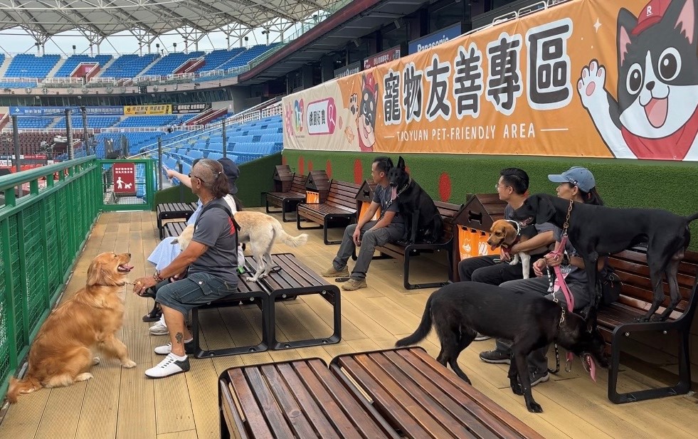 毛英雄進場看棒球!搜救犬「安心捐款行動」盼獲全民應援 2 114091721