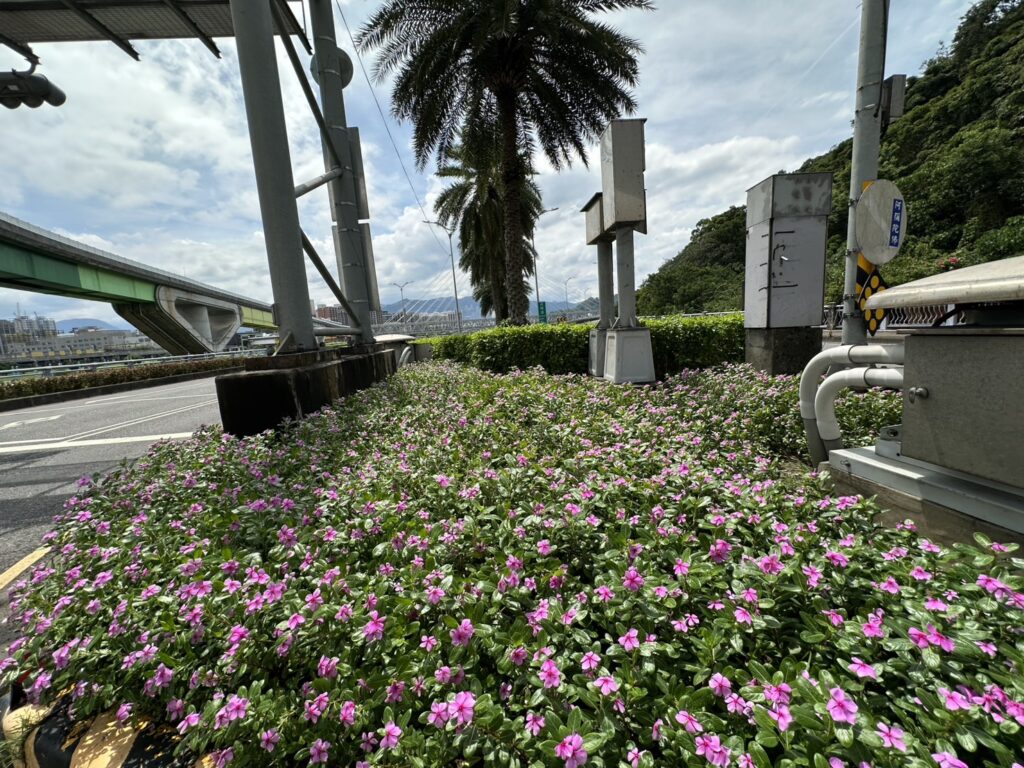 抓住夏日的尾巴 不同視覺景觀的變化與豐富 2 %E6%A7%BD%E5%8C%96%E5%B3%B6%E6%82%84%E7%84%B6%E6%8F%9B%E4%B8%8A%E6%B7%A1%E7%B2%89%E5%8F%AF%E6%84%9B%E7%9A%84%E6%97%A5%E6%97%A5%E6%98%A5%EF%BC%8C%E6%B8%85%E5%B9%BD%E8%89%B2%E5%BD%A9%E7%B9%BD%E7%B4%9B%E6%B8%B2%E6%9F%93%E6%96%BC%E9%83%BD%E5%B8%82%E7%B6%A0%E5%B8%B6%E4%B8%AD