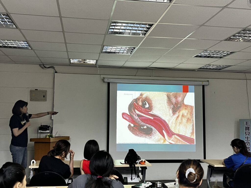 新北動保處舉辦寵物照護課程搶先看 8 %E5%B0%88%E6%A5%AD%E7%8D%B8%E9%86%AB%E5%B8%AB%E8%AC%9B%E8%A7%A3%E5%8B%95%E7%89%A9%E7%94%9F%E7%90%86%E5%8F%8A%E7%85%A7%E8%AD%B7%E9%9C%80%E7%9F%A5