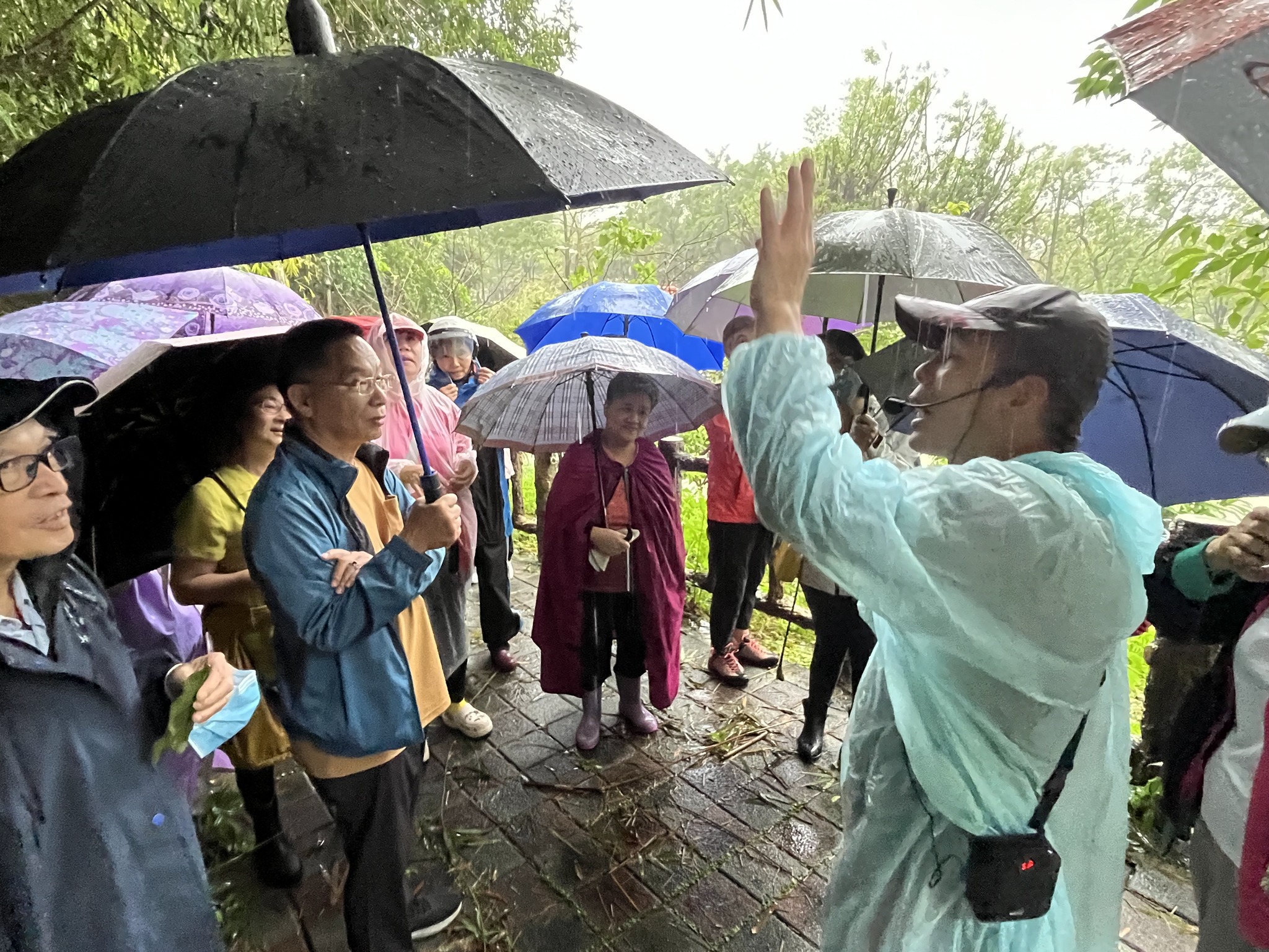 實現永續環境理念四維里舉辦走讀荷花池生態教育課程 3 574481277 1312635793997112 9207452124013432964 n