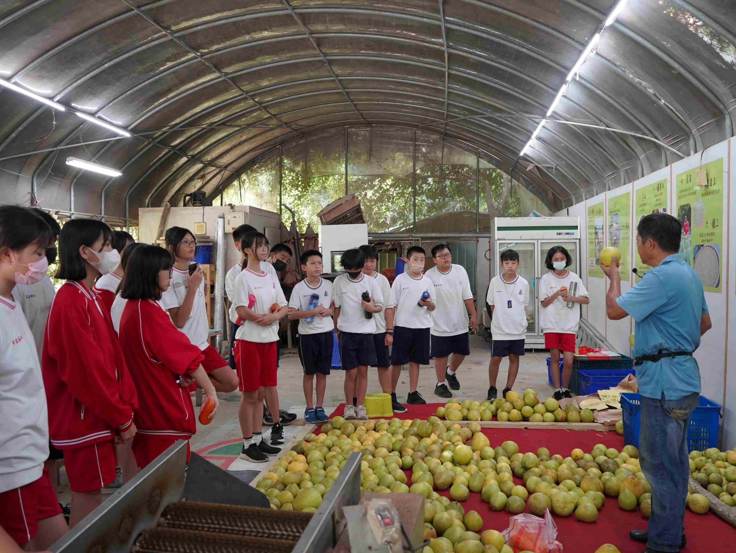 企業ESG×食農教育 新北打造場域教案新典範 8 %E6%A1%83%E6%A8%82%E7%B5%B2%E8%BE%B2%E5%A0%B4%E7%9A%84%E6%9F%9A%E9%A6%99%E5%9B%9B%E6%BA%A2%E7%9A%84%E7%A7%98%E5%AF%86%E8%8A%B1%E5%9C%92%E6%95%99%E6%A1%88%E5%AF%A6%E4%BD%9C 3 scaled 1