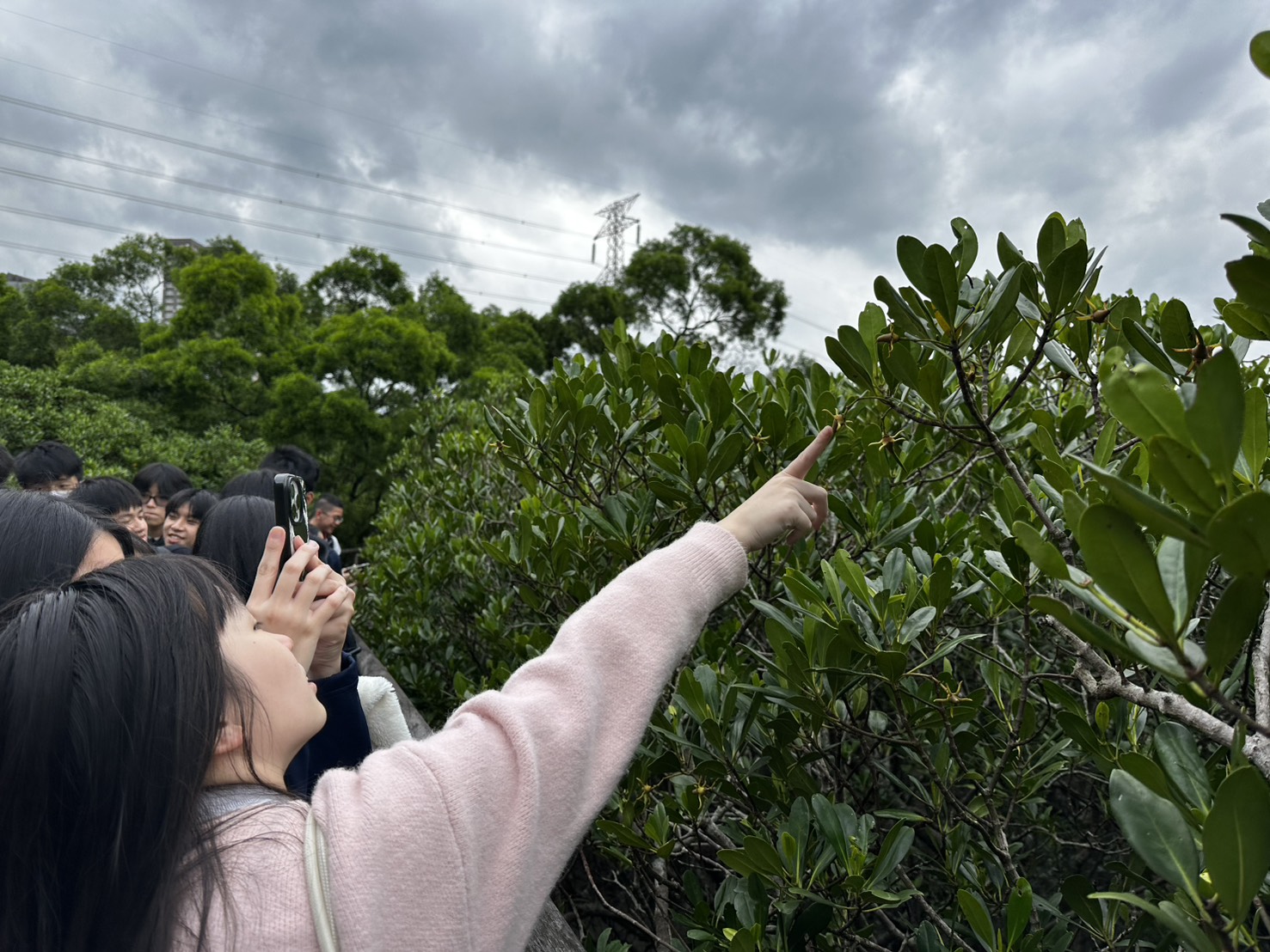 二信高中普一校外教學實地體驗提升環境永續素養 9 S 68935715
