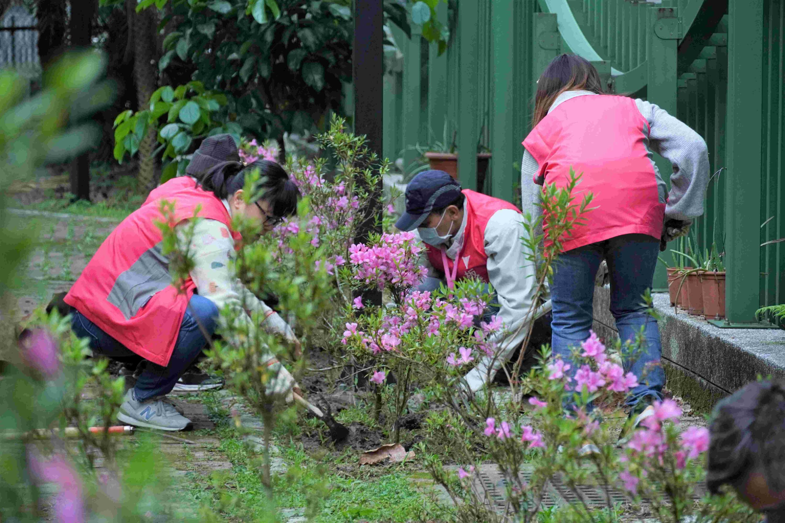新北市持續推動《為地球種下一棵樹》 綠色耶誕限定快閃贈苗 10 %E6%B0%91%E7%9C%BE%E9%A0%98%E8%8B%97%E5%BE%8C%E5%8F%AF%E8%87%B3%E7%82%BA%E5%9C%B0%E7%90%83%E7%A8%AE%E4%B8%8B%E4%B8%80%E6%A3%B5%E6%A8%B9%E7%99%BE%E8%90%AC%E4%BA%BA%E7%A8%AE%E7%99%BE%E8%90%AC%E6%A8%B9%E5%AE%98%E7%B6%B2%E4%BA%86%E8%A7%A3%E5%A6%82%E4%BD%95%E7%A8%AE%E6%A8%B9 scaled 1
