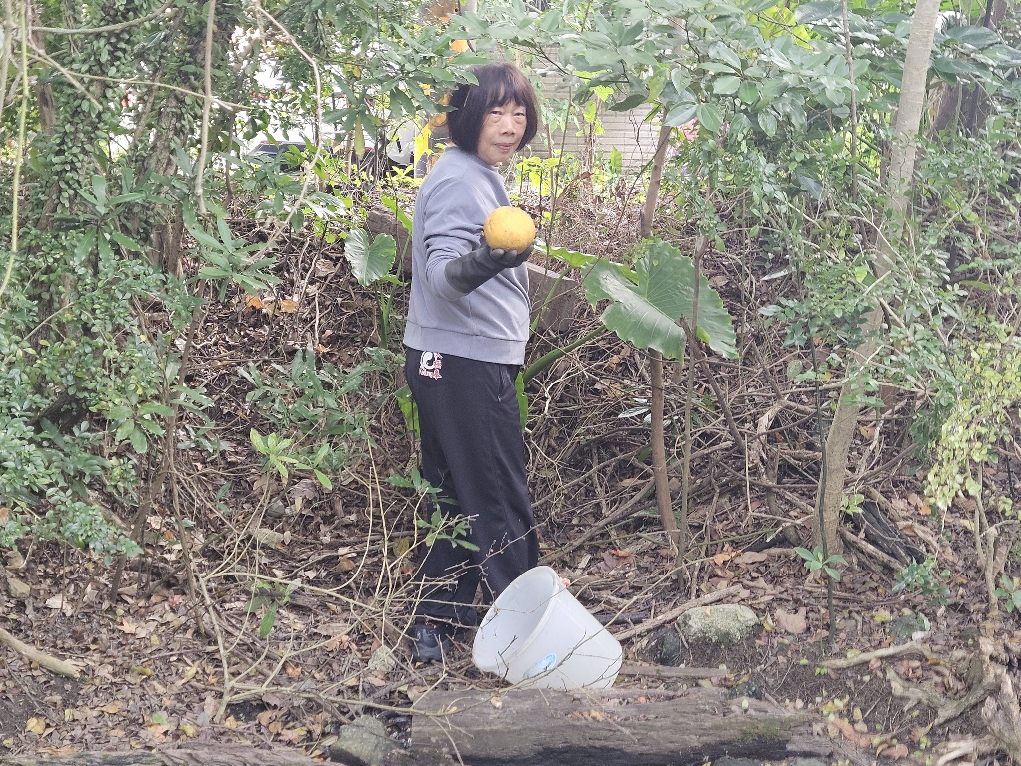 內寮社區發展協會志工齊心協力守護「生態教室」 2 617698097 26052794527648538 7904639674800034571 n