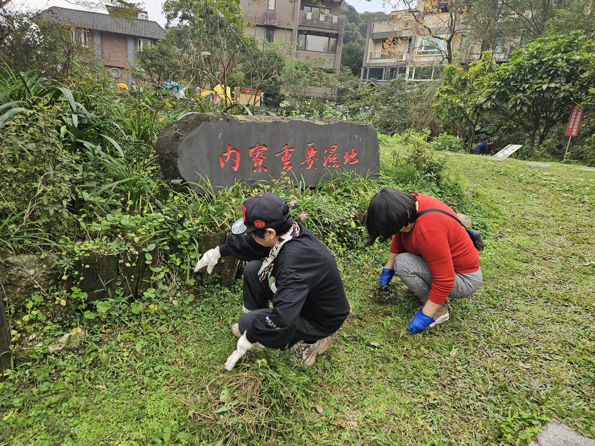 內寮社區發展協會志工齊心協力守護「生態教室」 3 616553192 26052791954315462 4916351952727717556 n