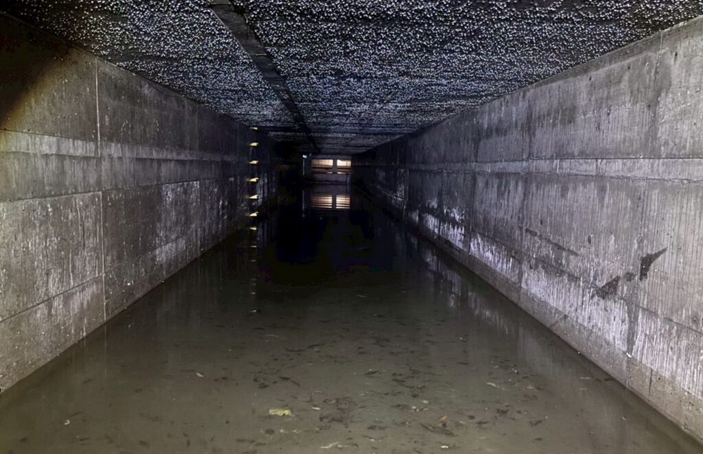三峽北大特區治水有成 「滯洪+分流」雙管齊下 學勤路排水效能提升30% 39 2 %E6%A1%83%E5%AD%90%E8%85%B3%E5%9C%8B%E4%B8%AD%E5%B0%8F%E5%89%8D%E7%B6%A0%E5%9C%B0%E6%96%B0%E5%BB%BA%E6%BB%AF%E6%B4%AA%E9%87%8F%E9%AB%94290%E5%99%B8%E7%9A%84%E5%9C%B0%E4%B8%8B%E6%BB%AF%E6%B4%AA%E6%B1%A0%E6%8F%90%E4%BE%9B%E9%99%8D%E9%9B%A8%E7%B7%A9%E8%A1%9D%E7%A9%BA%E9%96%93 1024x662 1