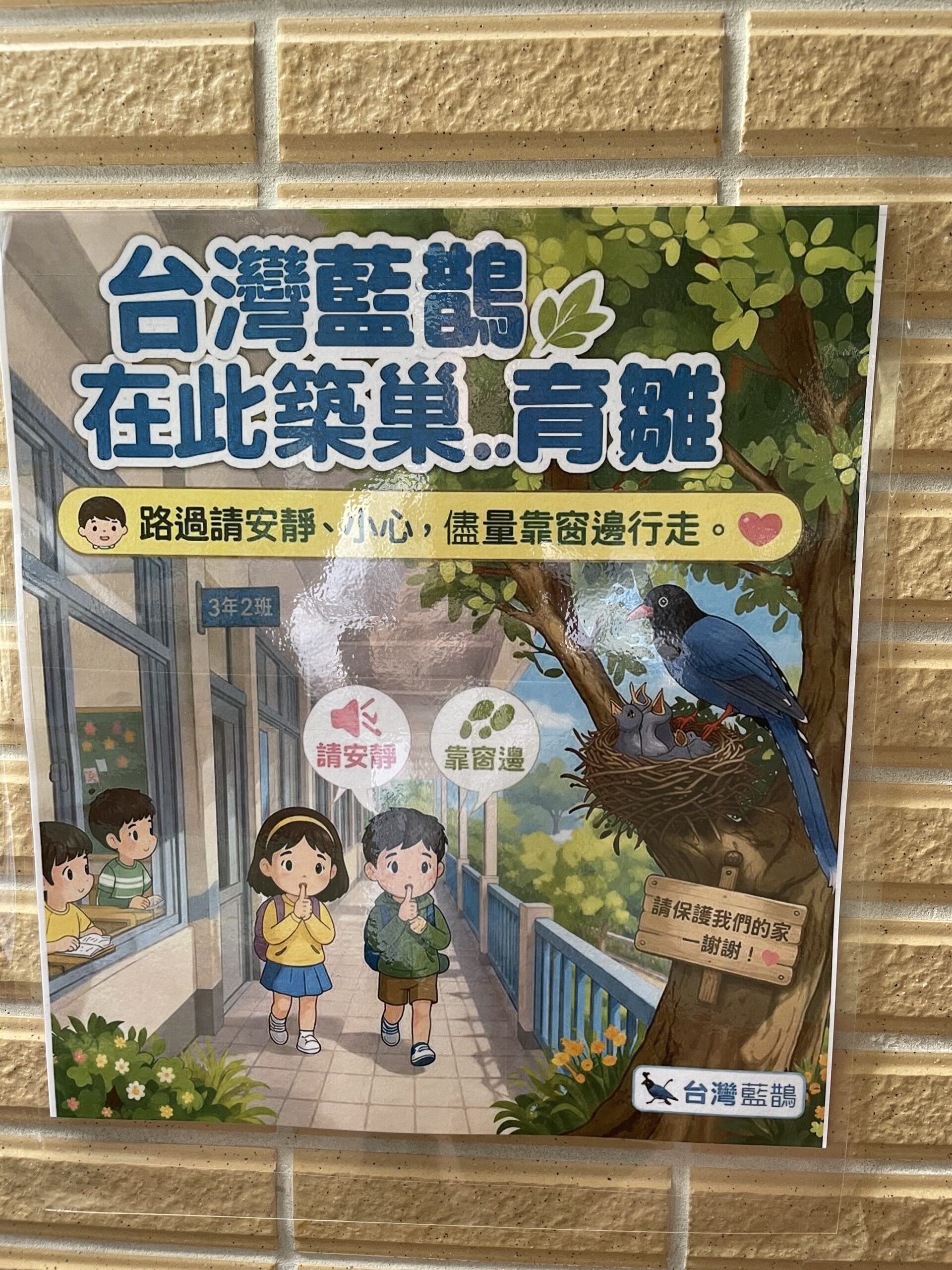 西定國小師生用愛與關懷守護藍鵲新生命誕生校園 28 8AB21FE5 0B3A 4720 B141 A421CA55DBDD scaled