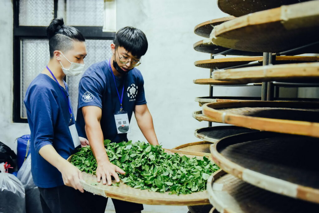 以茶推動創生 新北坪林「有種茶」獲日本GOOD DESIGN AWARD肯定 35 %E6%9C%89%E7%A8%AE%E8%8C%B6%E7%A9%8D%E6%A5%B5%E6%8E%A8%E5%8B%95%E9%A3%9F%E8%BE%B2%E6%95%99%E8%82%B2%E8%88%87%E8%8C%B6%E8%81%B7%E4%BA%BA%E5%AD%B8%E9%99%A2 1024x683 1