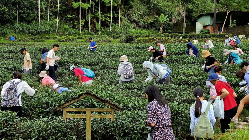 玩翻坪林秘境!2026新北好茶春茶市集6/6熱血開跑,五感體驗、水陸派對嗨翻天 18 S 50470921 1024x577 1