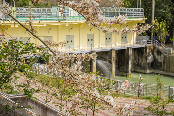 【烏山頭水庫】台南必訪百年景點.超美日式建築 【烏山頭水庫】台南必訪百年景點.超美日式建築