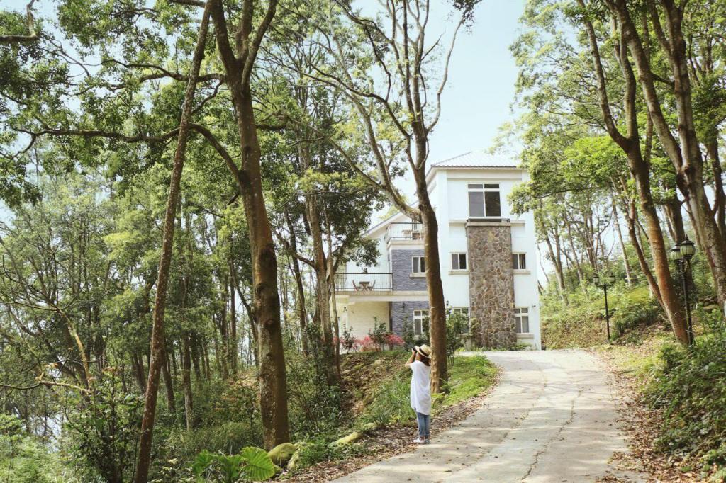 【2019苗栗銅鑼杭菊節】花季地址.火車.公車一日遊 【2019苗栗銅鑼杭菊節】花季地址.火車.公車一日遊