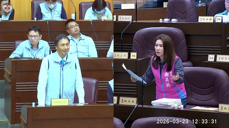 桃園購物節缺乏全國吸引力 謝美英議員促全面檢討 桃園購物節缺乏全國吸引力 謝美英議員促全面檢討