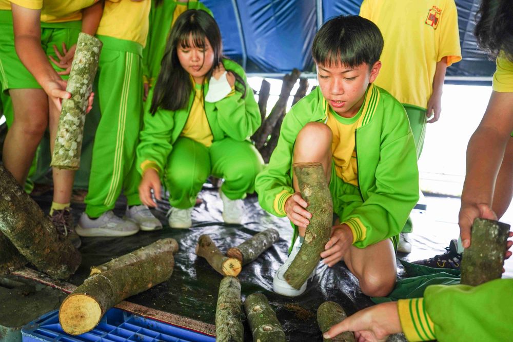 榮獲食育力「五星城市」殊榮 新北六都第一 3 《圖說》新北市與學校及社區共建多元體驗場域。〈農業局提供〉