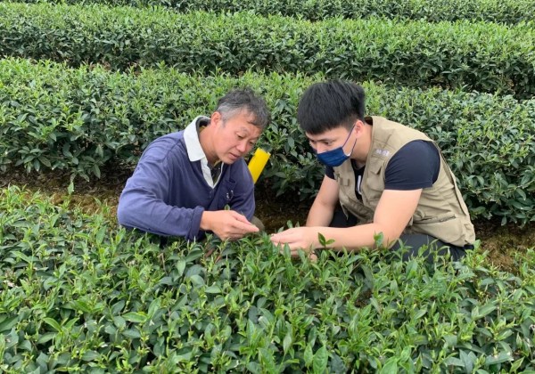 首屆植物診療師考試預定114年8月舉行 歡迎民眾踴躍報考 首屆植物診療師考試預定114年8月舉行 歡迎民眾踴躍報考