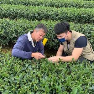 首屆植物診療師考試預定114年8月舉行 歡迎民眾踴躍報考 首屆植物診療師考試預定114年8月舉行 歡迎民眾踴躍報考