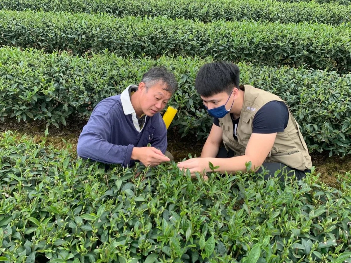 首屆植物診療師考試預定114年8月舉行 歡迎民眾踴躍報考 首屆植物診療師考試預定114年8月舉行 歡迎民眾踴躍報考