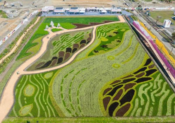 2025屏東熱帶農業博覽會登場!五大展區引領農業「非常未來」,展覽時間地點、交通資訊一次看 2025屏東熱帶農業博覽會登場!五大展區引領農業「非常未來」,展覽時間地點、交通資訊一次看