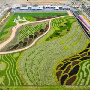 2025屏東熱帶農業博覽會登場!五大展區引領農業「非常未來」,展覽時間地點、交通資訊一次看 2025屏東熱帶農業博覽會登場!五大展區引領農業「非常未來」,展覽時間地點、交通資訊一次看