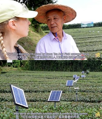 熱門視頻展示八馬茶業如何通過新科技煥新中國茶產業 熱門視頻展示八馬茶業如何通過新科技煥新中國茶產業