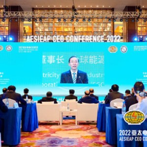2022亞太電協CEO會議在海口成功舉辦 2022亞太電協CEO會議在海口成功舉辦