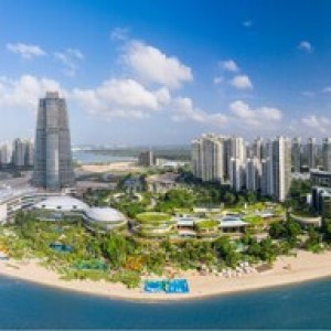 森林城市再迎重磅利好,數字地位賦能區域發展 森林城市再迎重磅利好,數字地位賦能區域發展