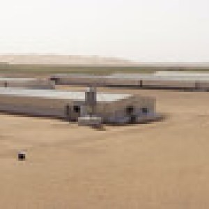 Tanmiah Food Company 與國際食品和農業技術領導者 MHP Group 合作,促進沙特家禽生產 Tanmiah Food Company 與國際食品和農業技術領導者 MHP Group 合作,促進沙特家禽生產