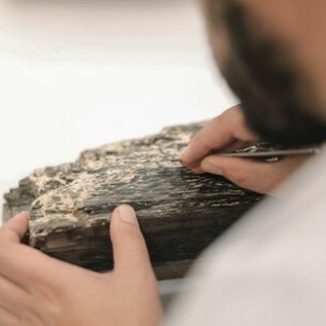 吉達歷史區計劃:發現 25,000 件可追溯至早期伊斯蘭時代的文物殘片 吉達歷史區計劃:發現 25,000 件可追溯至早期伊斯蘭時代的文物殘片