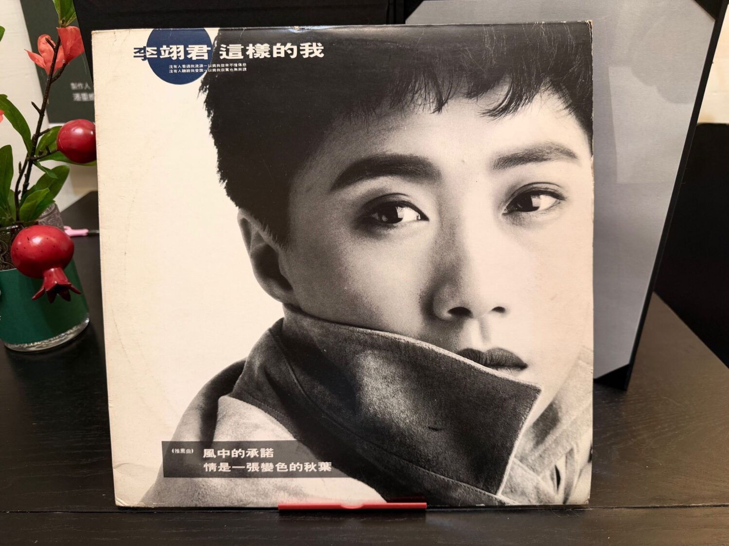 昔自製偶像劇讓公司慘賠陷入嚴重憂鬱潘重威、林貴敏二十年大翻身!「魔女有條件」和「女支者遭咯」雙料入圍獲獎 潘重威和林貴敏合作緣起於李翊君1990的大賣專輯《這樣的我》。(圖/創意大群組 提供)