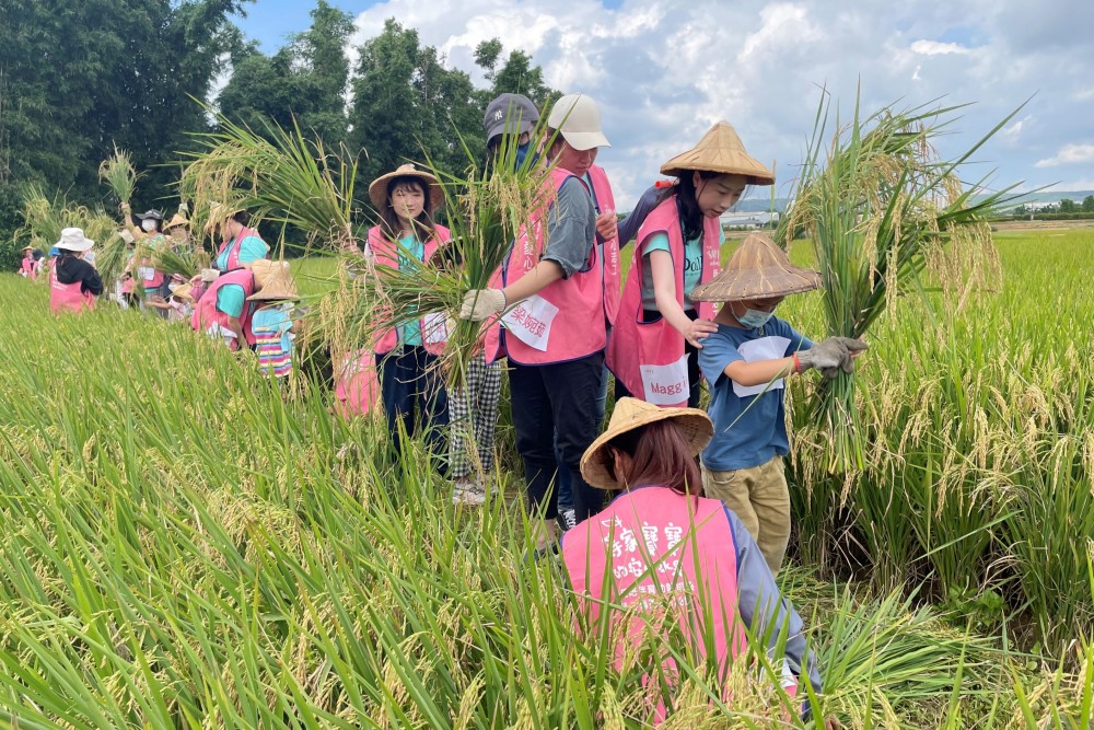 文章快取測試+同步更新測試 9 01%E7%AD%89%E5%AE%B6%E5%AF%B6%E5%AF%B6%E7%A4%BE%E7%A6%8F%E5%8D%94%E6%9C%83%E5%8A%A9%E4%BC%81%E6%A5%AD%E6%89%93%E9%80%A0%E5%8F%AF%E9%87%8F%E5%8C%96 1