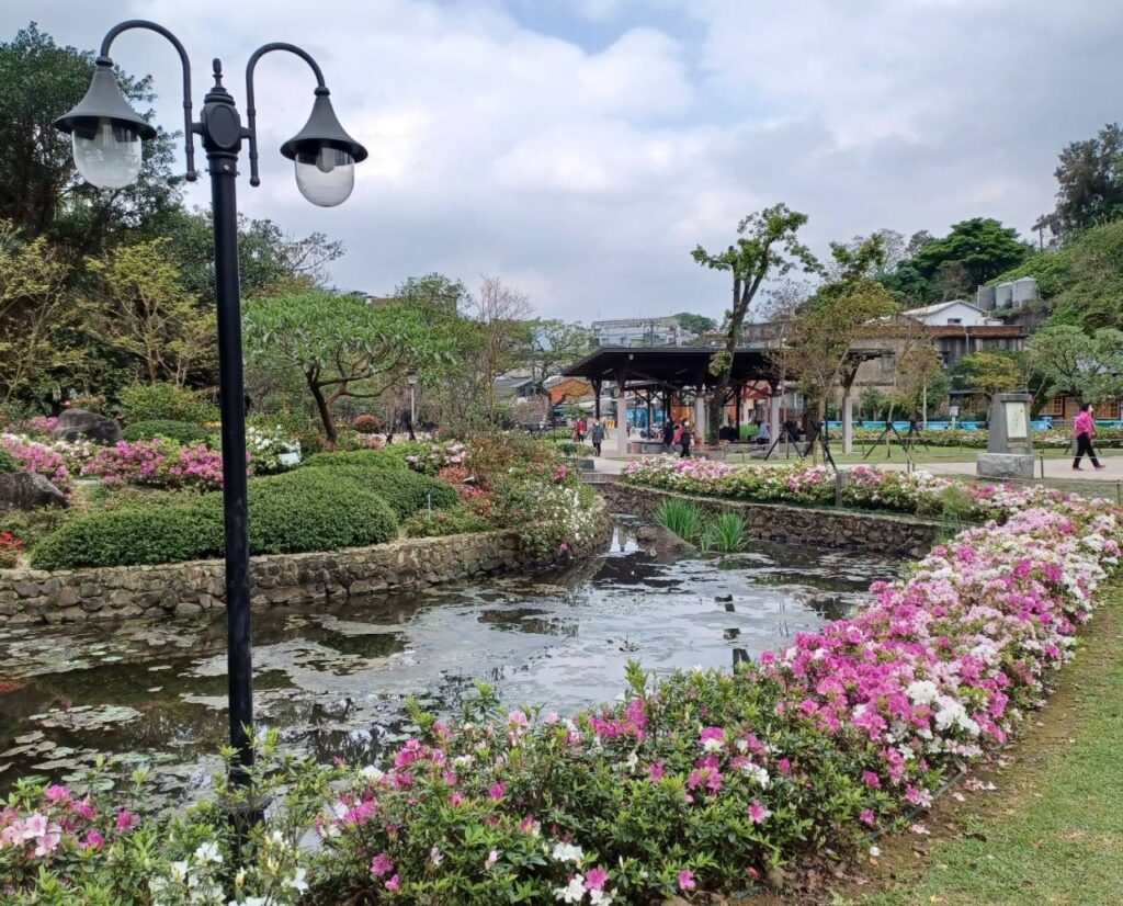 新北景觀處邀您來金山中山溫泉公園 陪你一年四季放鬆樂活 28 %E9%87%91%E5%B1%B1%E4%B8%AD%E5%B1%B1%E6%BA%AB%E6%B3%89%E5%85%AC%E5%9C%92%E5%85%A7%E6%9D%9C%E9%B5%91%E8%8A%B1%E7%9B%9B%E9%96%8B%EF%BC%8C%E7%82%BA%E5%85%AC%E5%9C%92%E5%A2%9E%E6%B7%BB%E6%98%A5%E5%AD%A3%E6%99%AF%E7%B7%BB