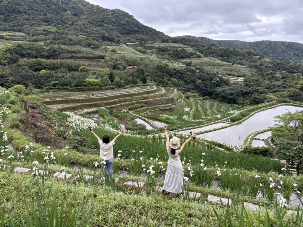 鳶尾花綻放百年梯田! 石門嵩山社區「春季限定」紫色花海美如梵谷名畫 10 鳶尾花開滿在層層堆疊的百年砌石梯田間,成為北海岸春季限定的熱門賞花景點