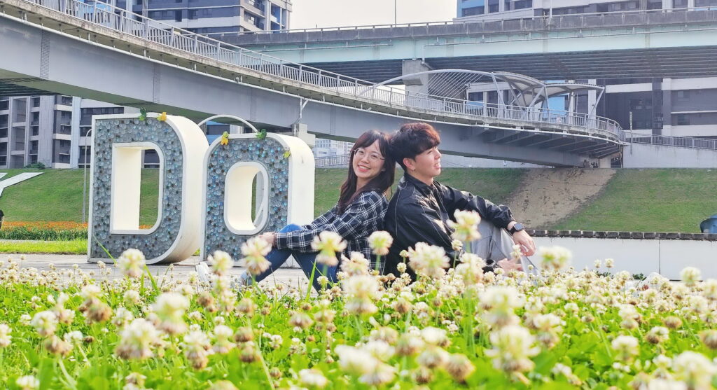新北大都會公園「白花三葉草」盛開如春雪 伴繽紛花海共織夢幻美景 邀大眾賞花踏青 17 來新北大都會公園與白花三葉草旁甜蜜合影 1