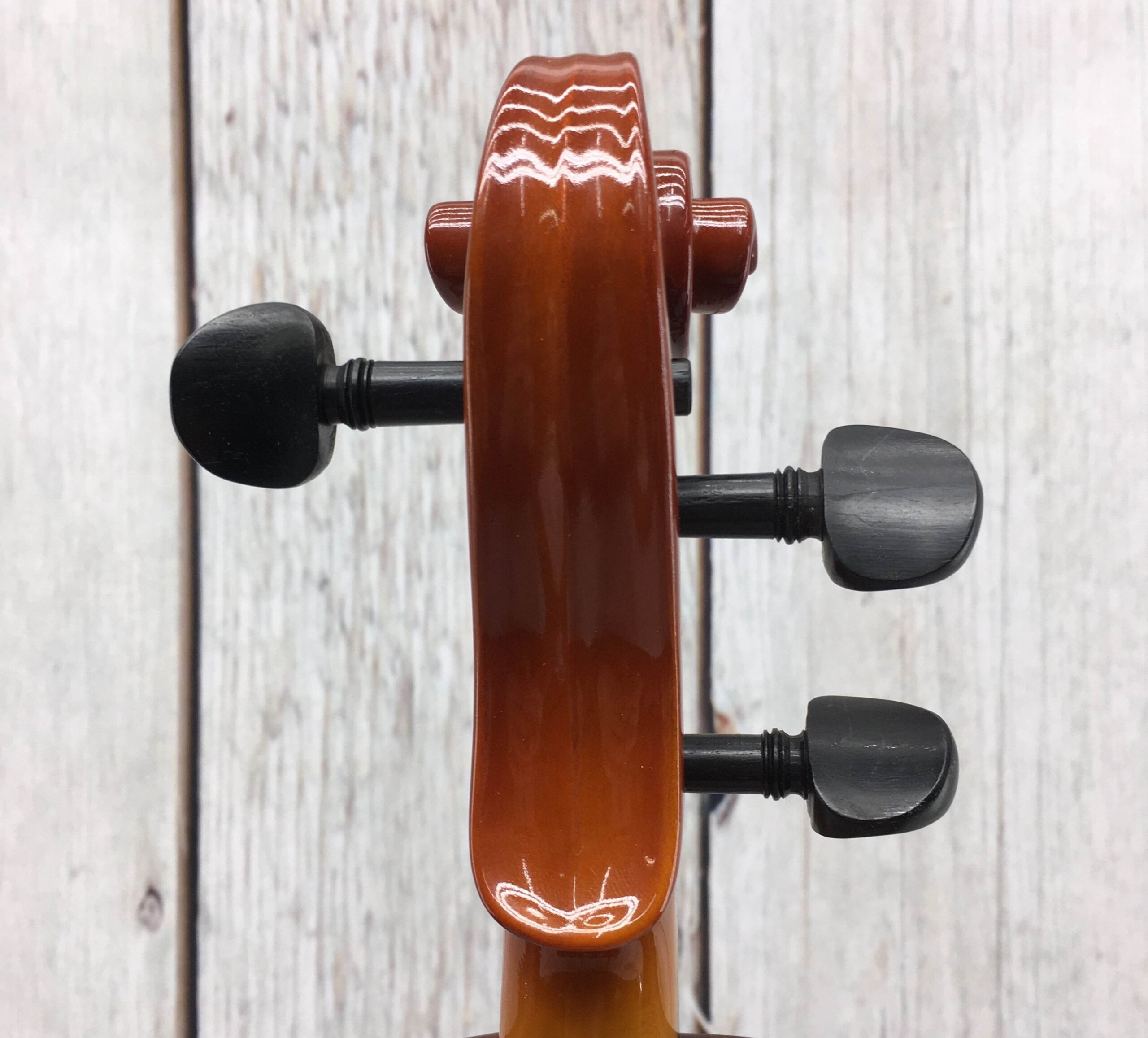 Carmen Electric Violin with Case and Bow