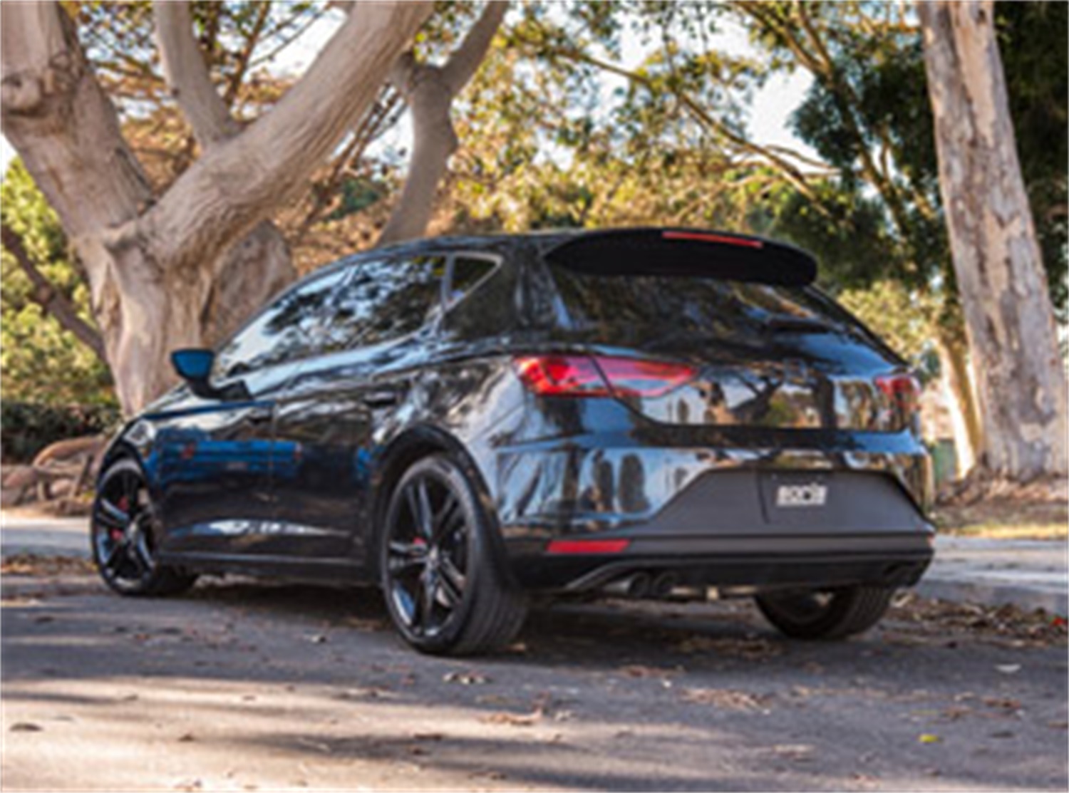 Borla Cat-Back Exhaust System - S-Type 140741SB