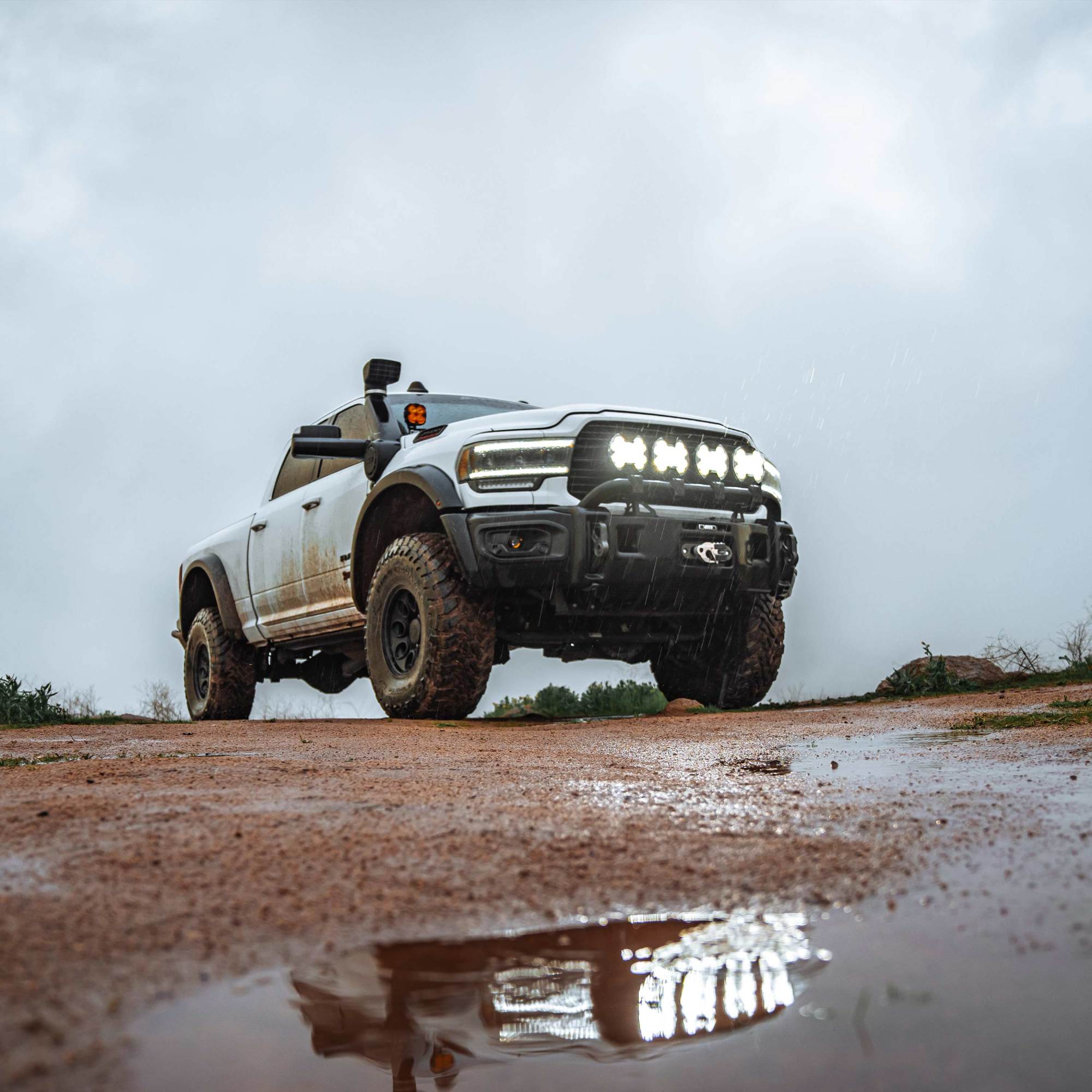 KC HiLiTES SlimLite 8" LED - Light Shield - Clear 5207