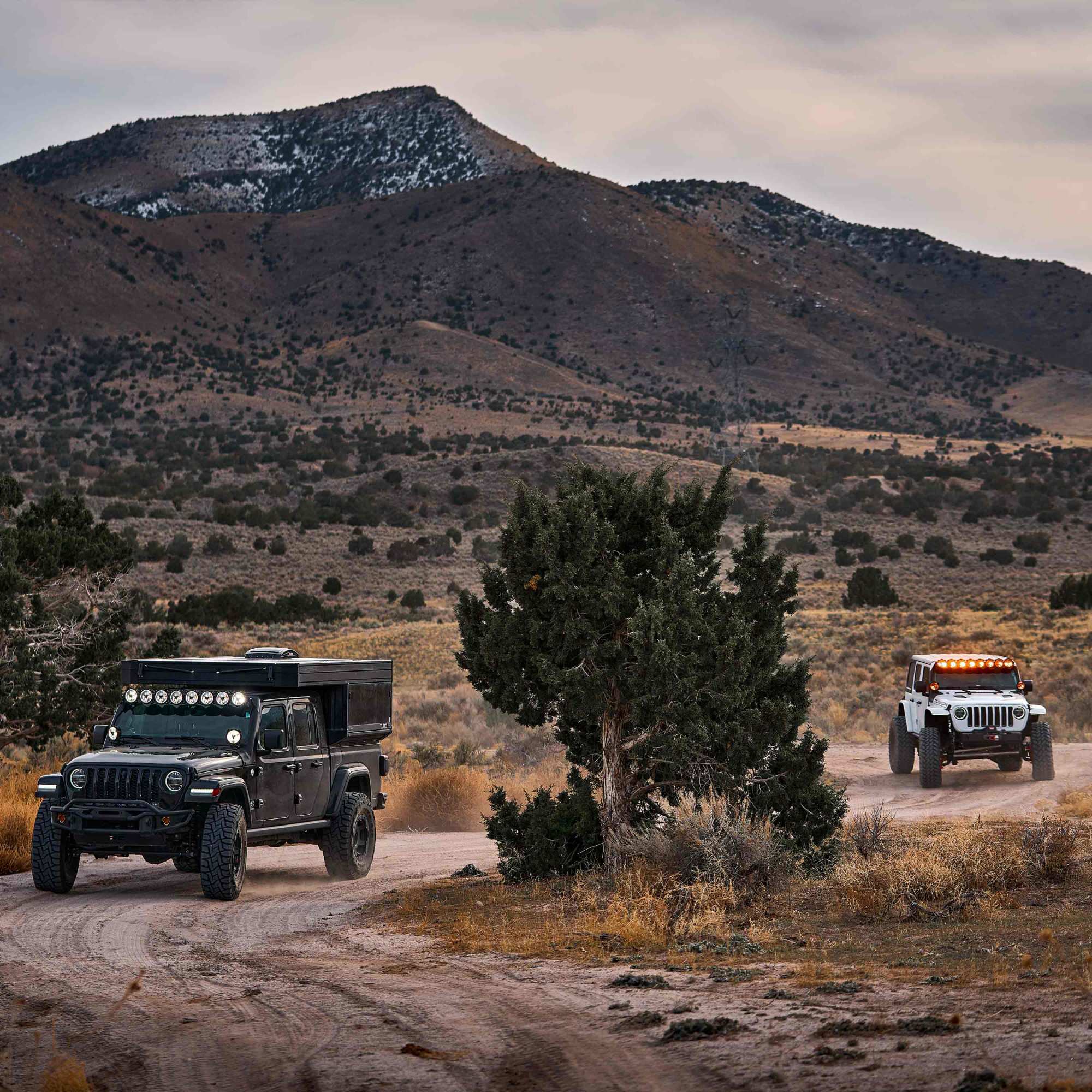 KC HiLiTES Gravity® Titan™ LED - 8-Light 50" Light Bar 91418