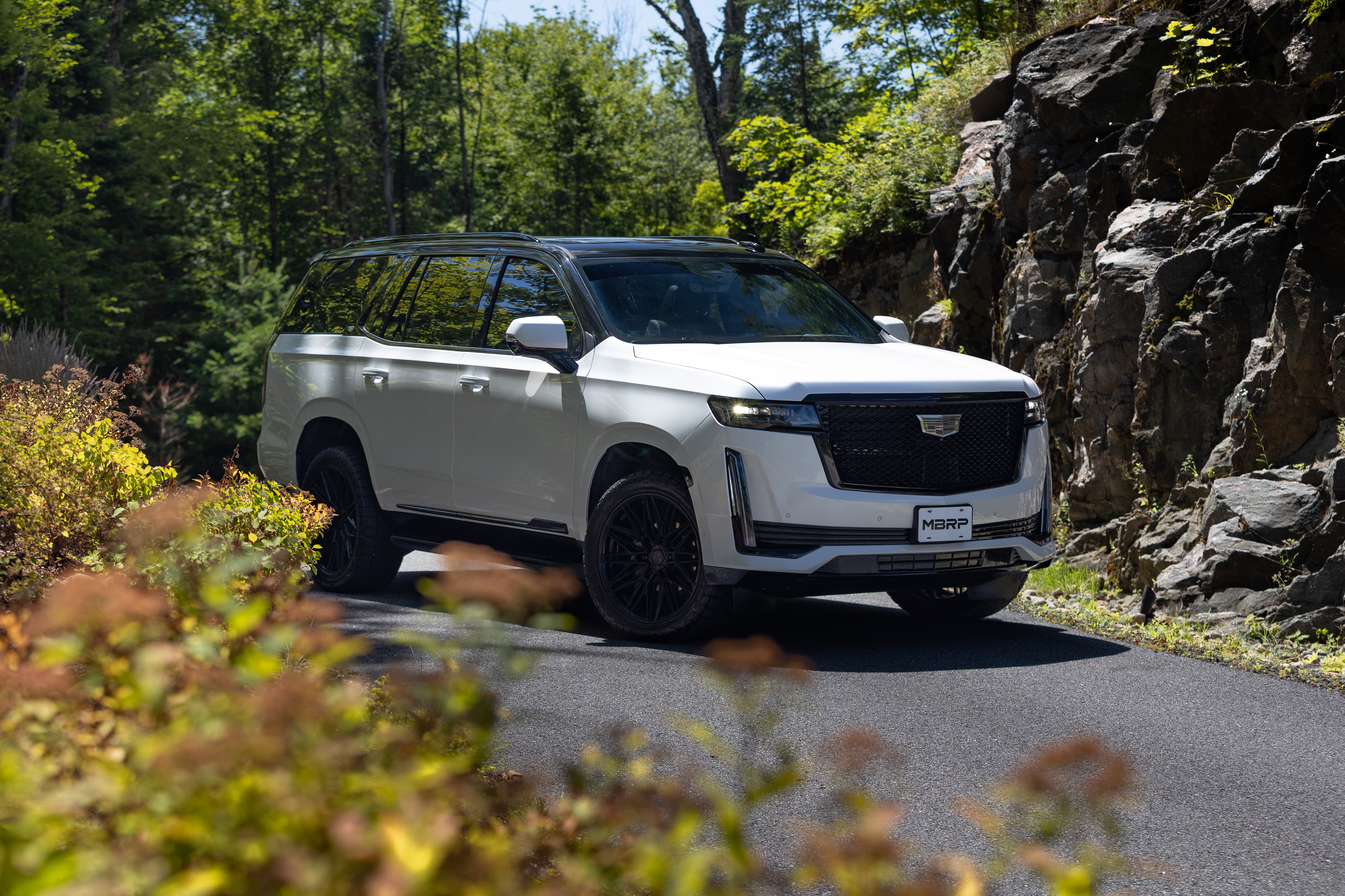 MBRP Exhaust MBRP 3-Inch Cat-Back, 2.5-Inch Dual Split Rear, T304, Street. S5007304