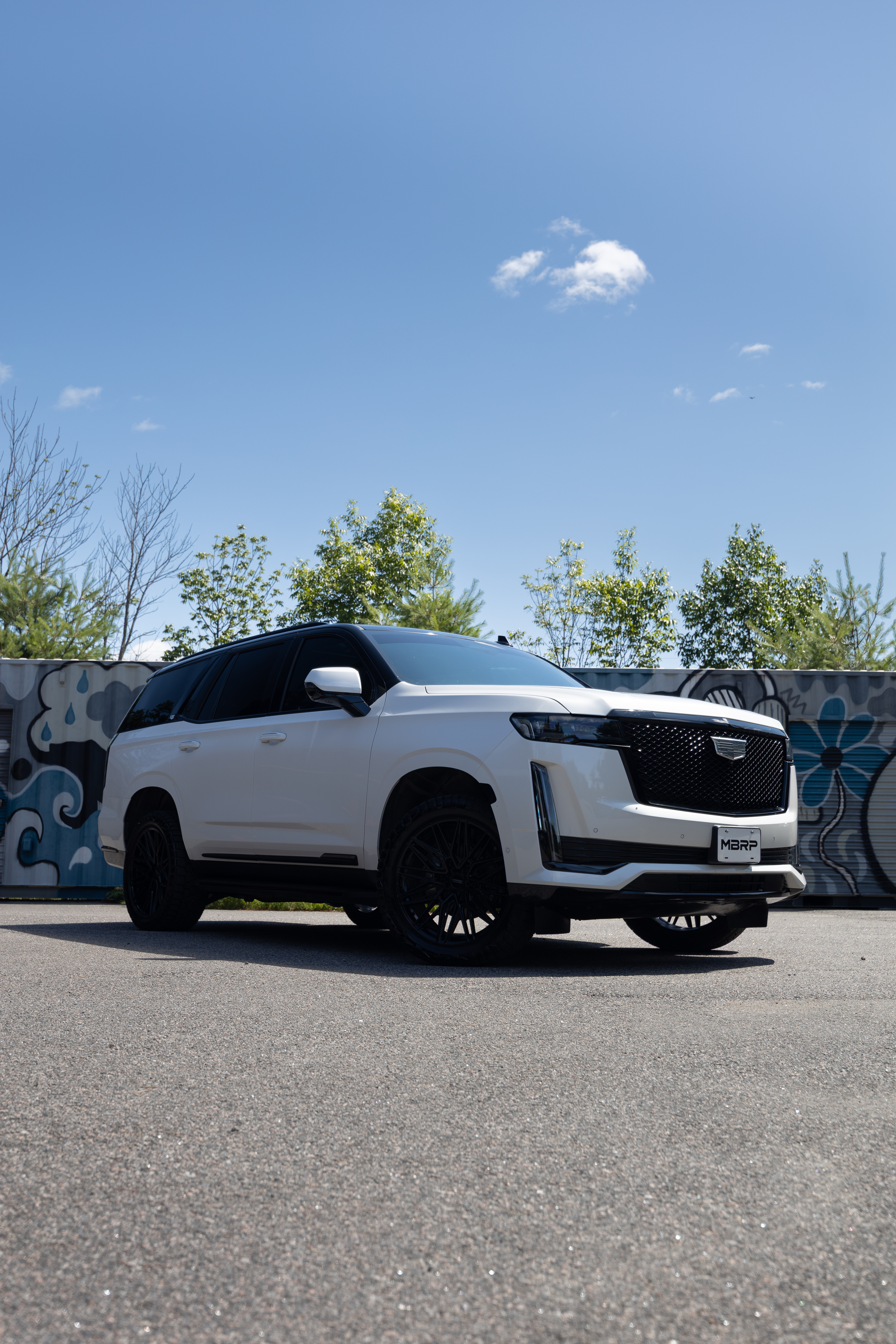 MBRP Exhaust MBRP 3-Inch Cat-Back, 2.5-Inch Dual Split Rear, T304, Street. S5007304