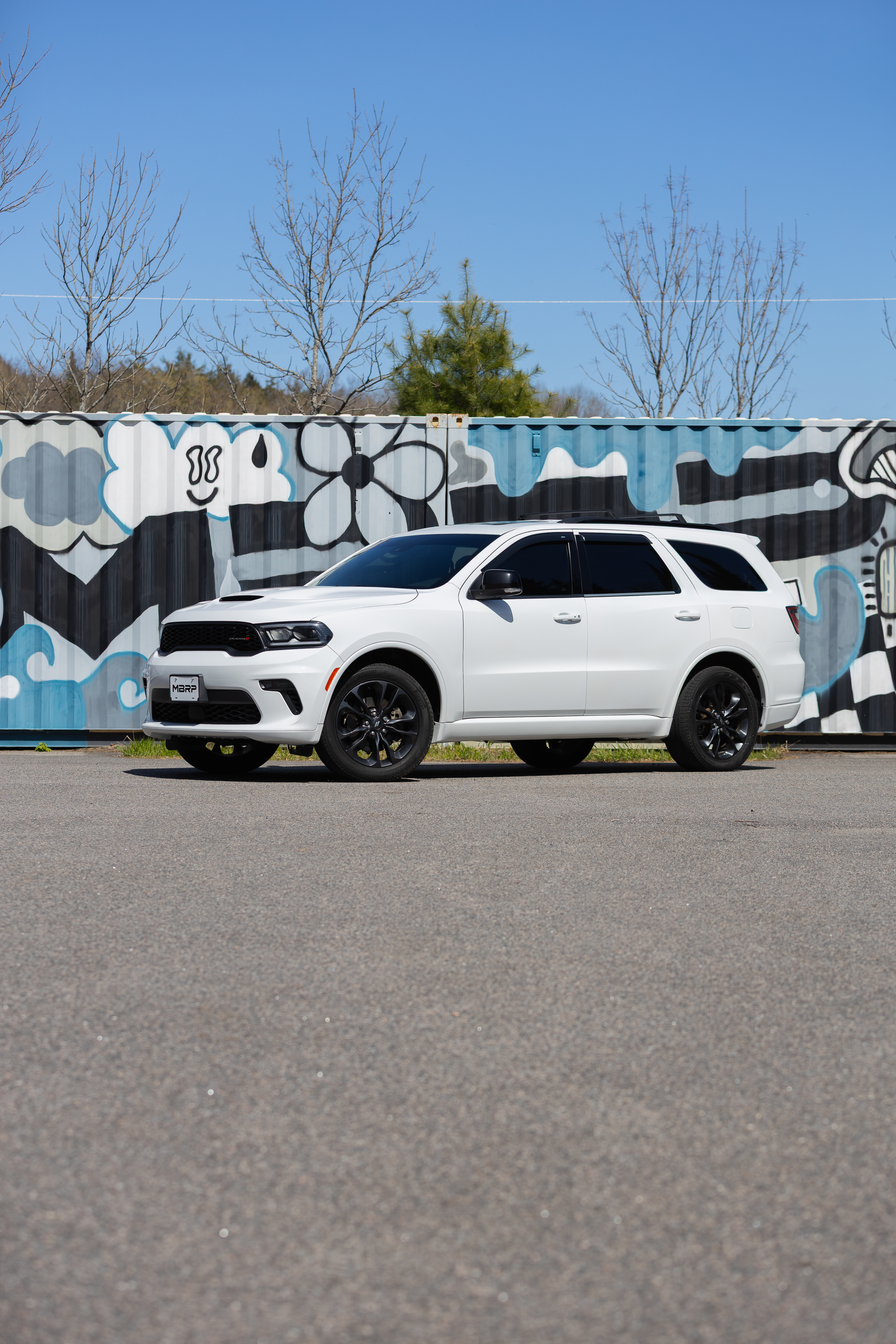 MBRP Exhaust MBRP 3in Cat-Back, Dual Rear Exit, T304, CF Tips, Street S51093CF