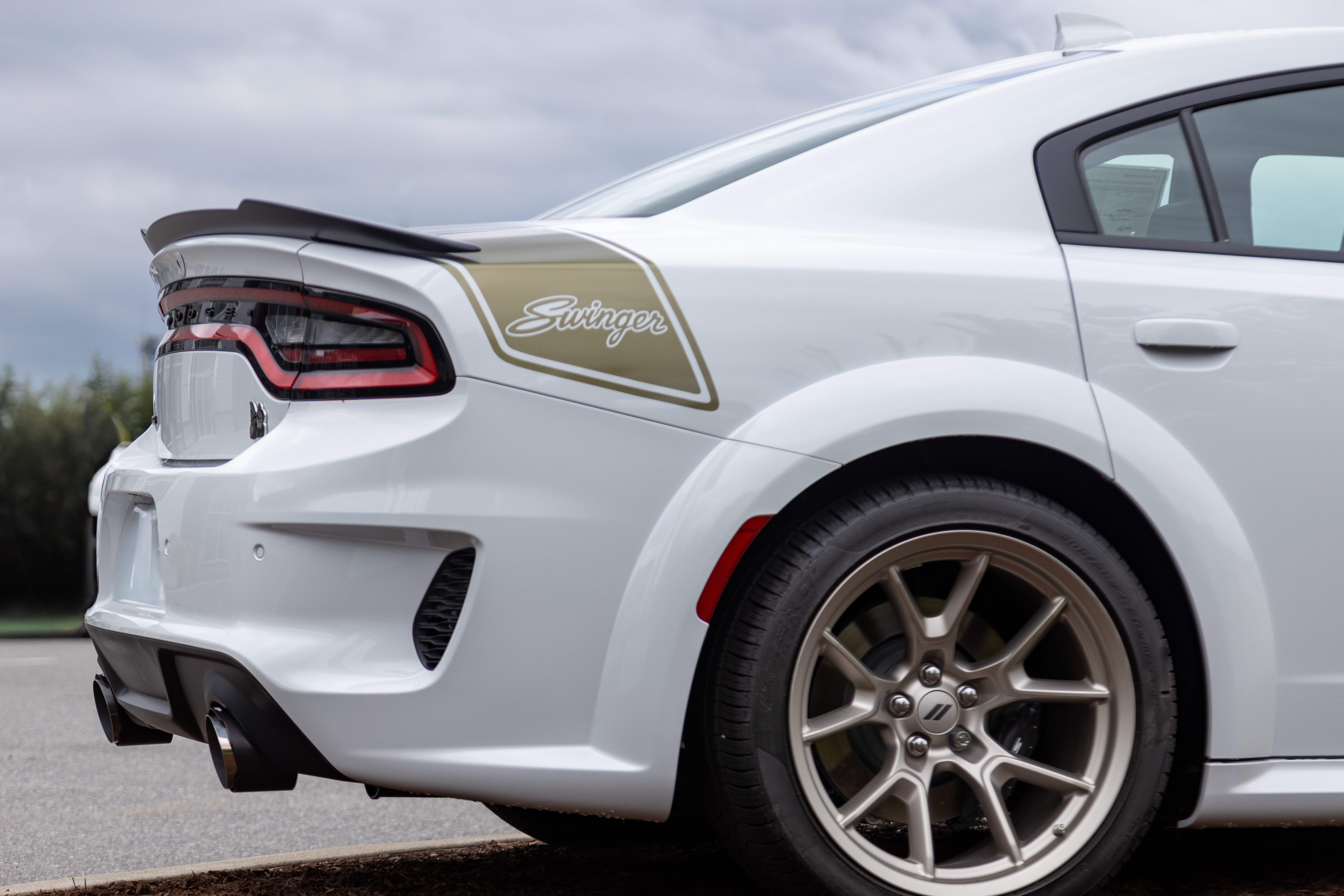 MBRP Exhaust 5in. OD. SEC 70 inlet. 7.8in. in length, CF. T5197CF