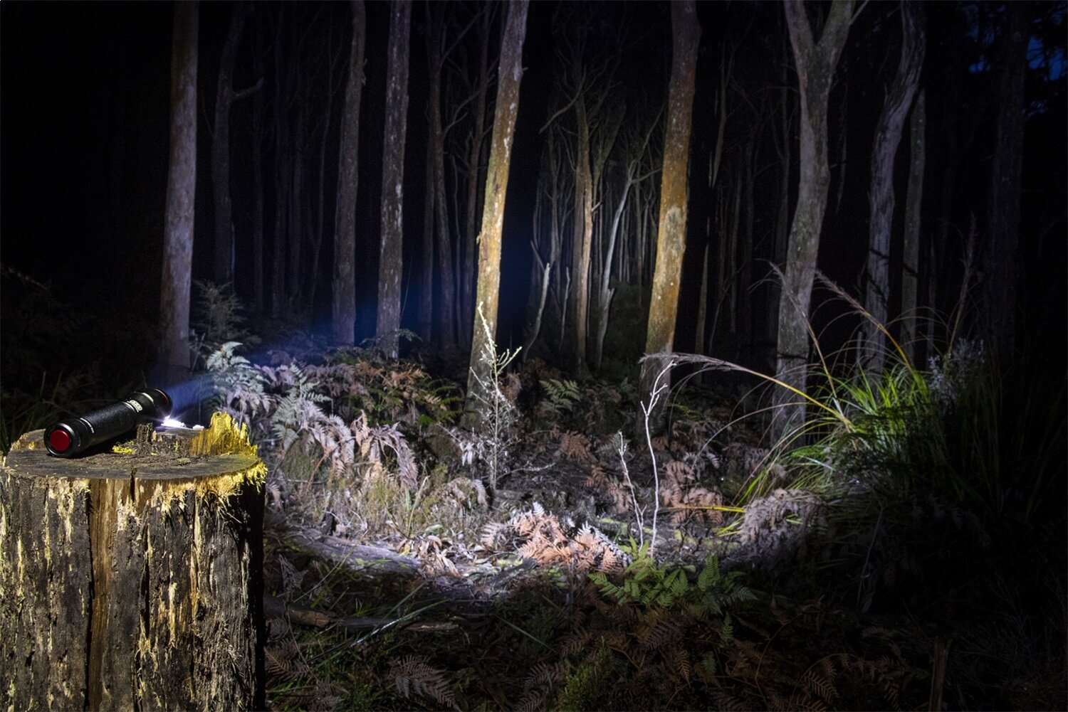 ARB Pureview 800 Flashlight 10500070