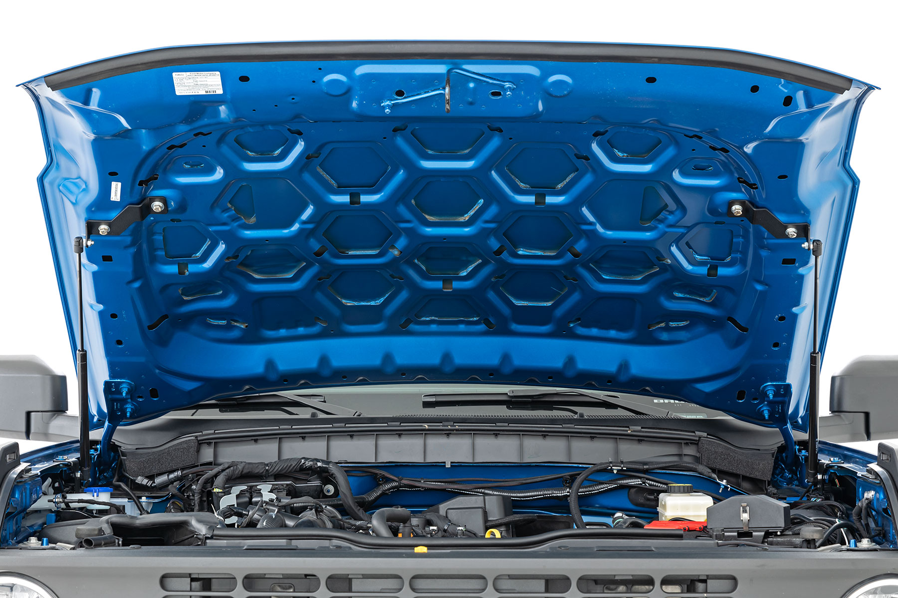 Rough Country Hood Struts 51060