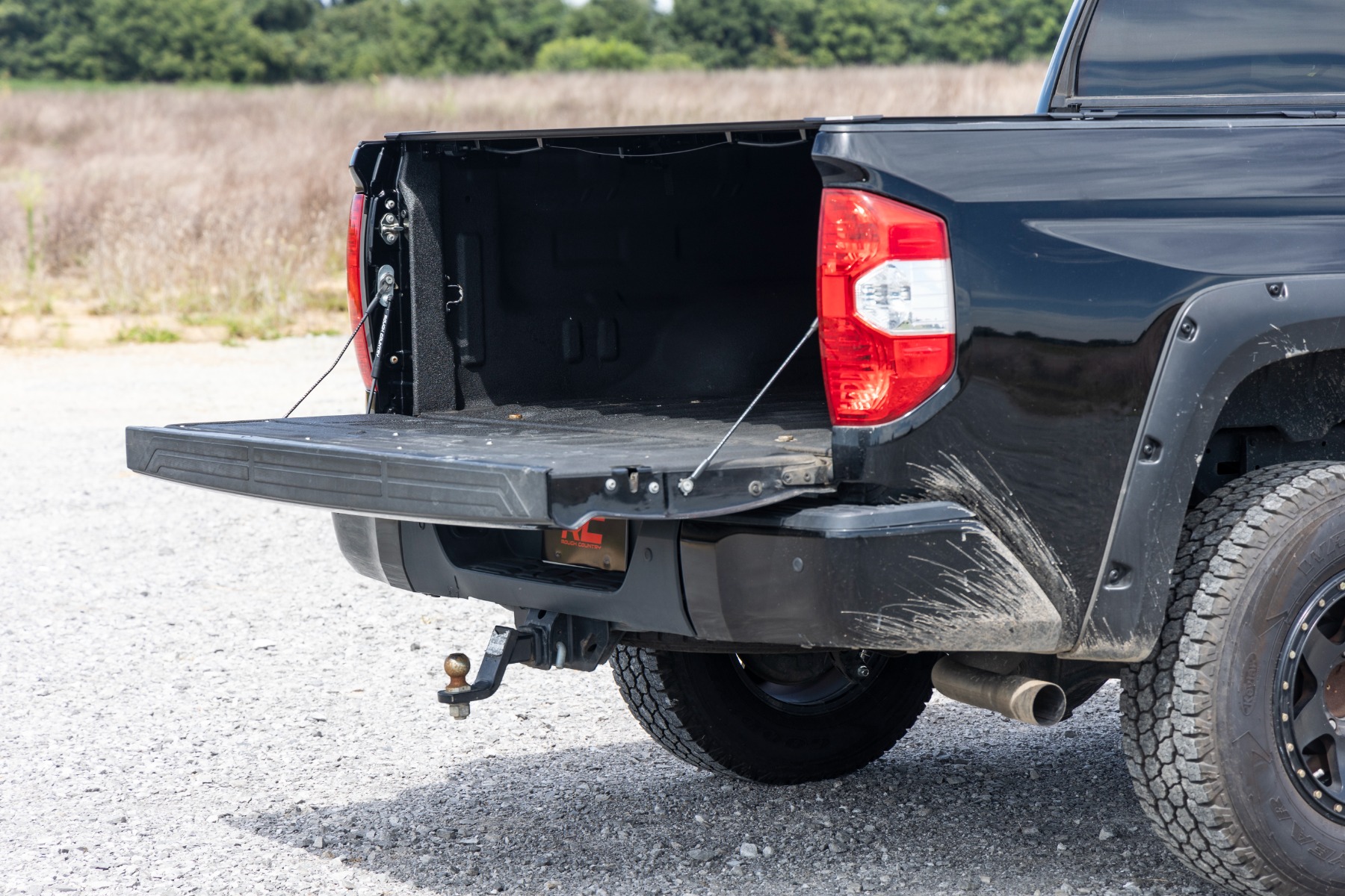 Rough Country Tailgate Assist 73219