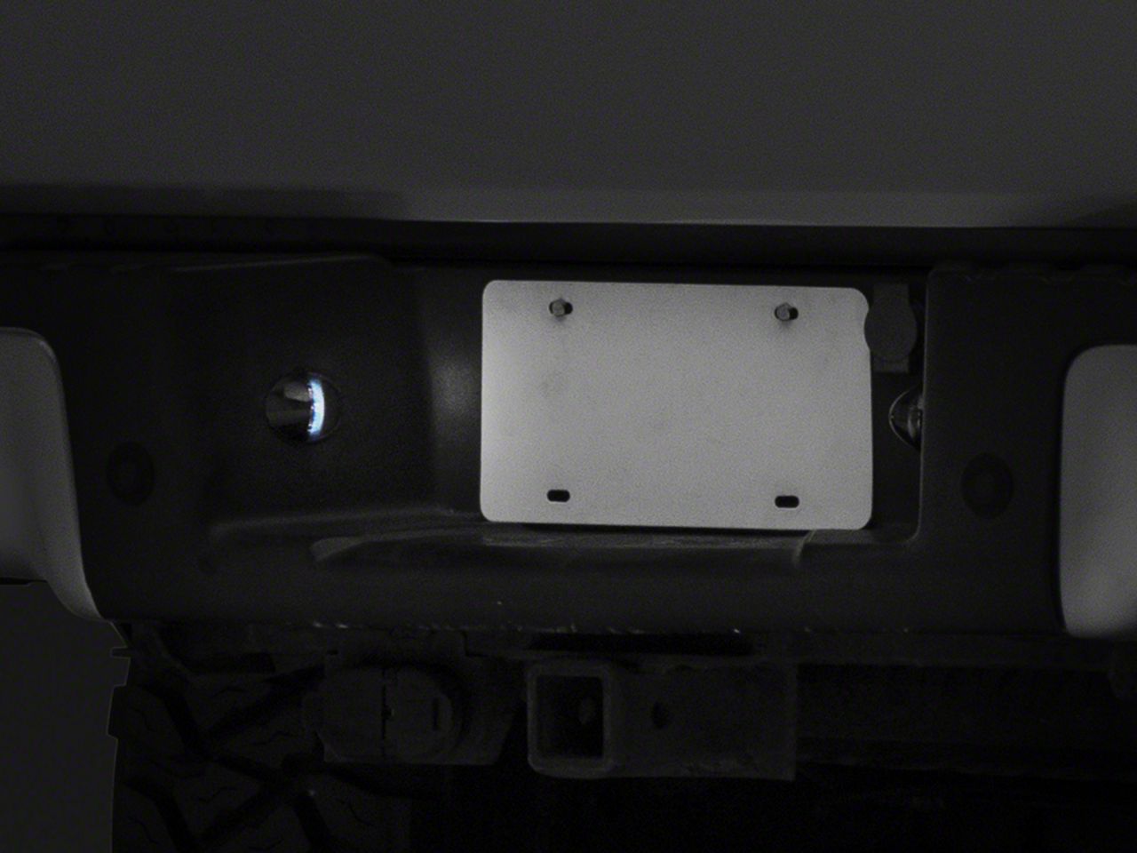 Raxiom Axial Series LED License Plate Light Bulb T543147