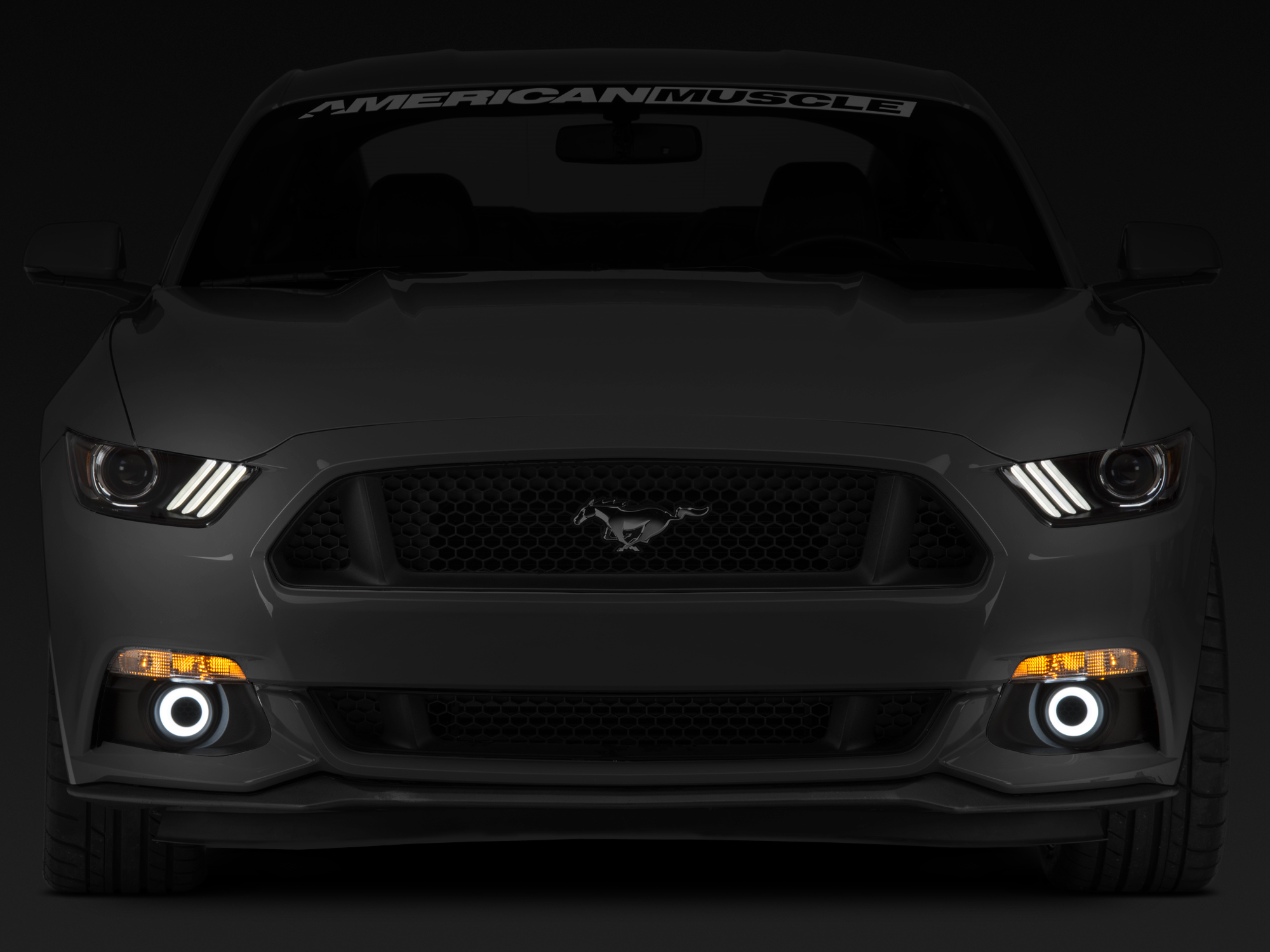 Raxiom LED Halo Fog Lights 398032