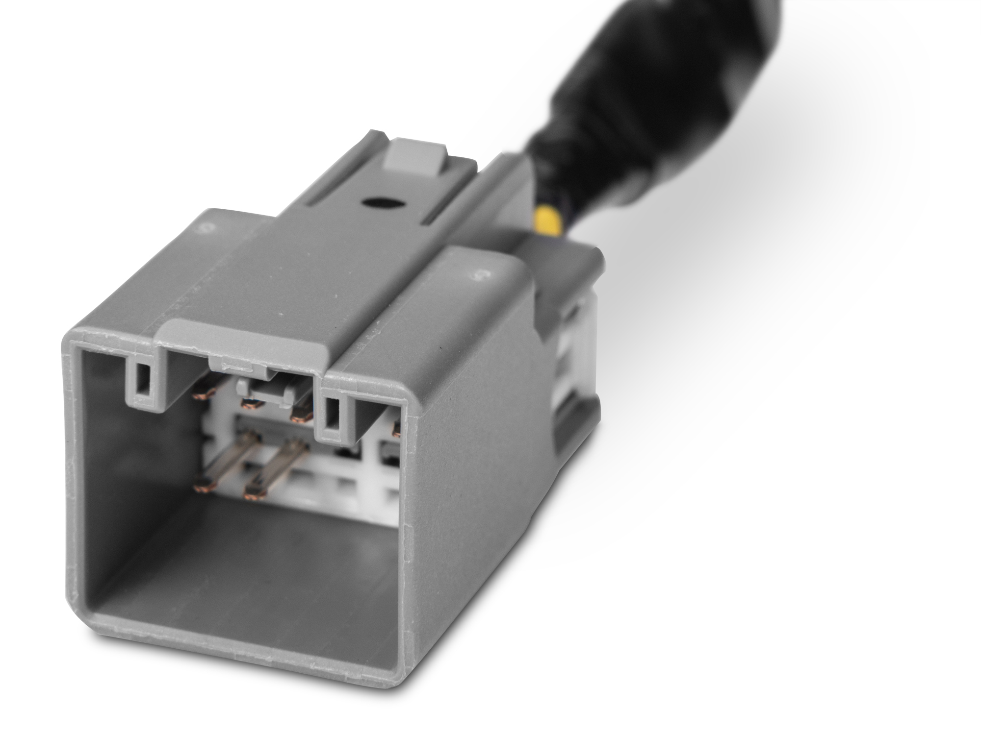 Raxiom Plug-and-Play 301042