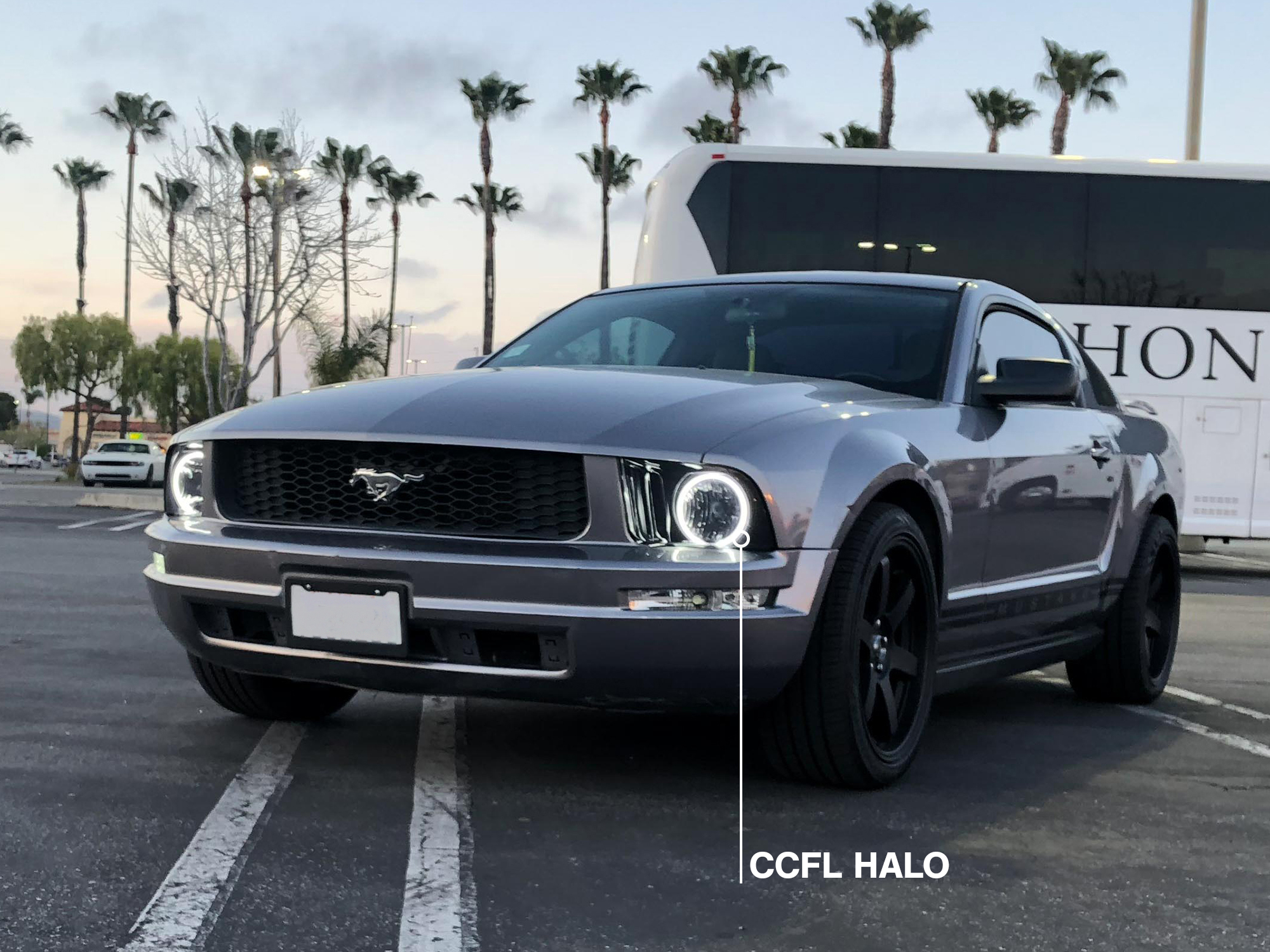 Raxiom Smoked Lens 49121