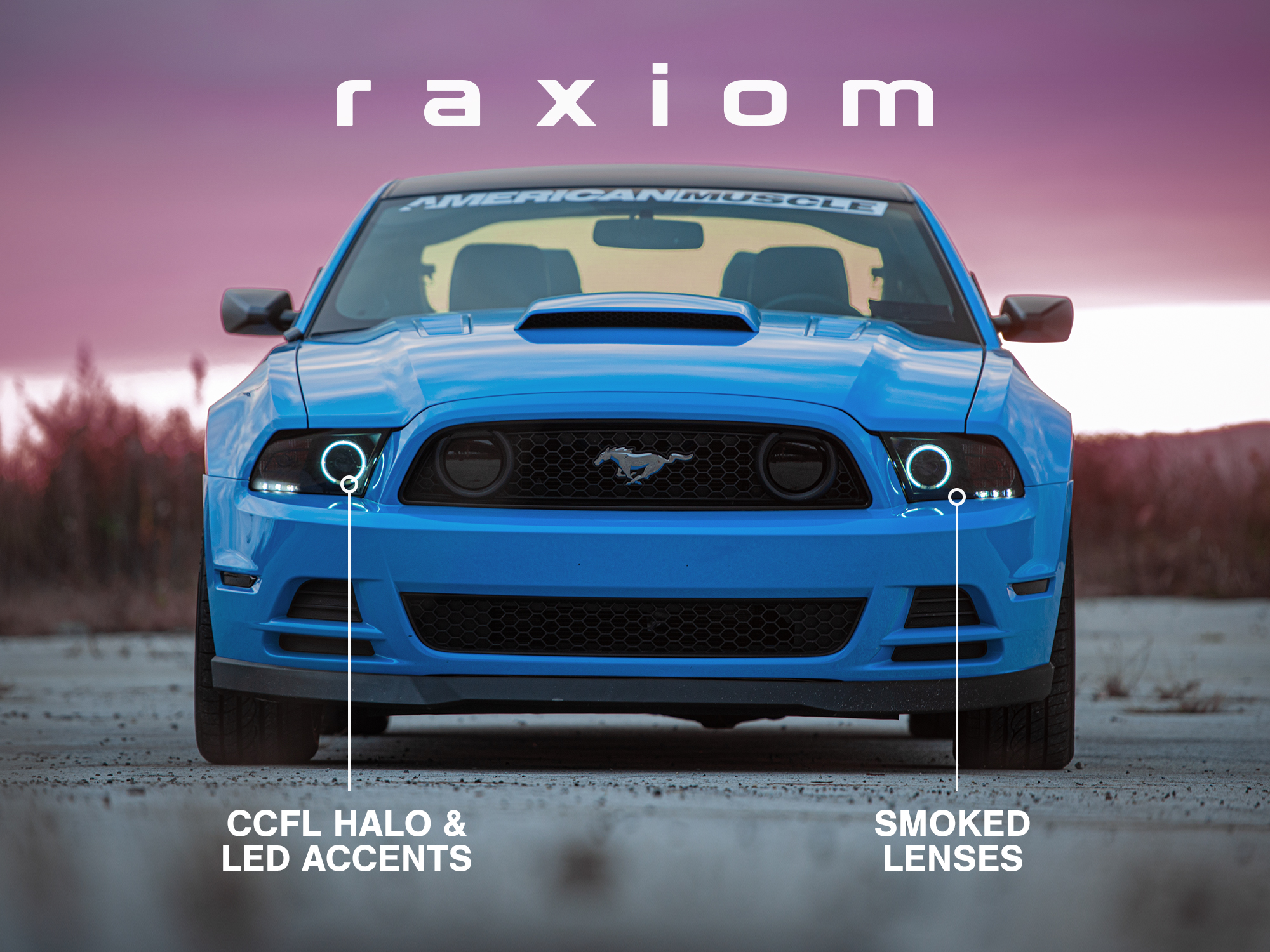 Raxiom Smoked Lens 49170